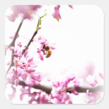 Redbud & Honeybee In Springtime Square Sticker by CarolsCamera at Zazzle