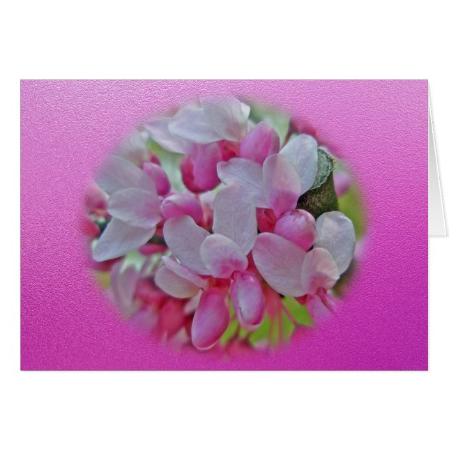 Redbud Tree Blossoms Items Cards (Front Horizontal)
