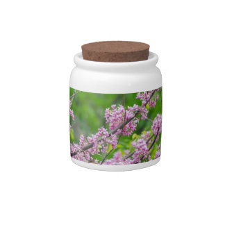 Redbud Tree Flowers Candy Jar