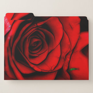 Reddest Rose File Folder