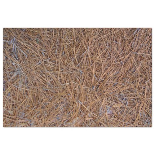 Reddish brown pine straw needles photo tissue paper