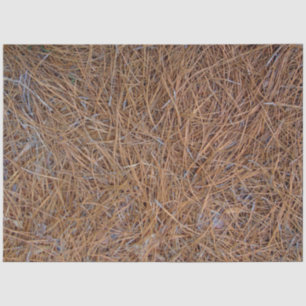 Reddish brown pine straw needles photo tissue paper