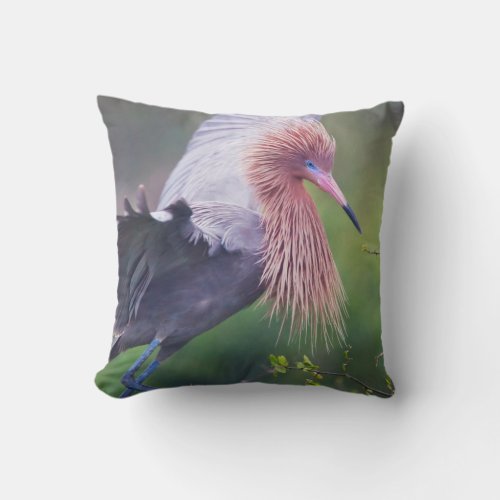 Reddish Egret Egretta Rufescens Adult Throw Pillow