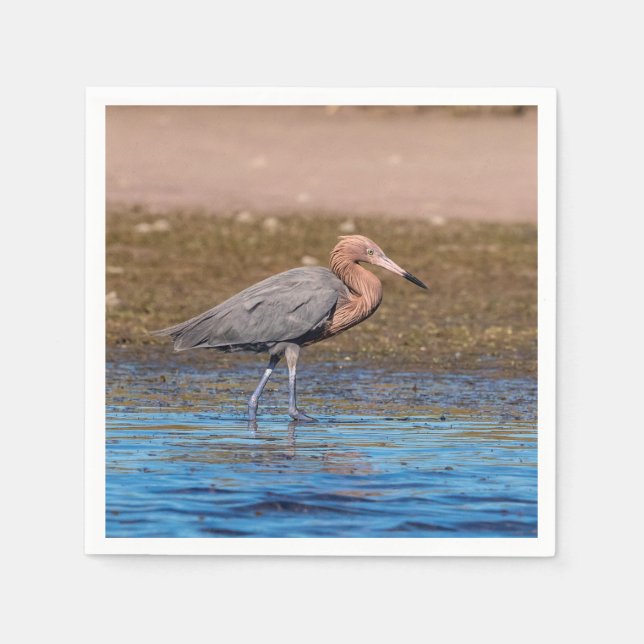 Reddish Egret on North Beach Paper Napkins (Front)