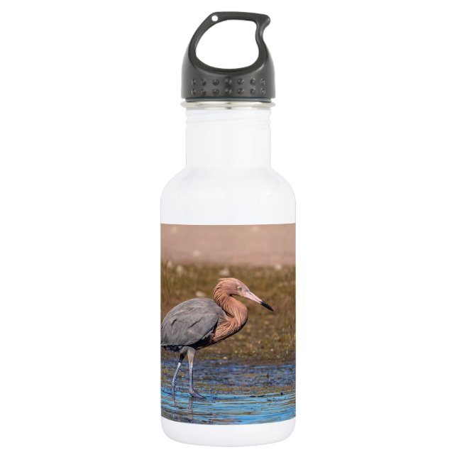 Reddish Egret on North Beach Water Bottle (Front)