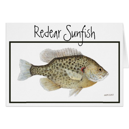 Redear Sunfish card (Front Horizontal)