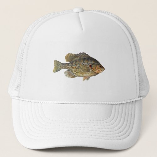 Redear Sunfish _ Shellcracker Trucker Hat