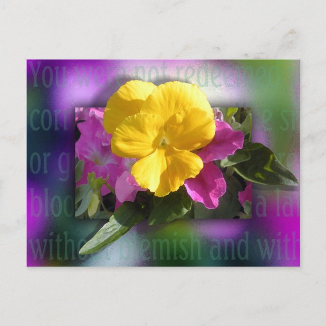 Redeemed Postcard (Front)