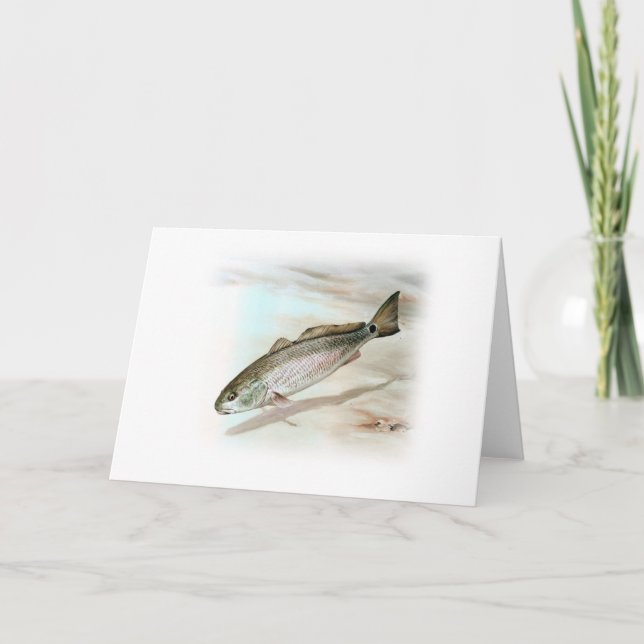 Redfish Art Card (Front)