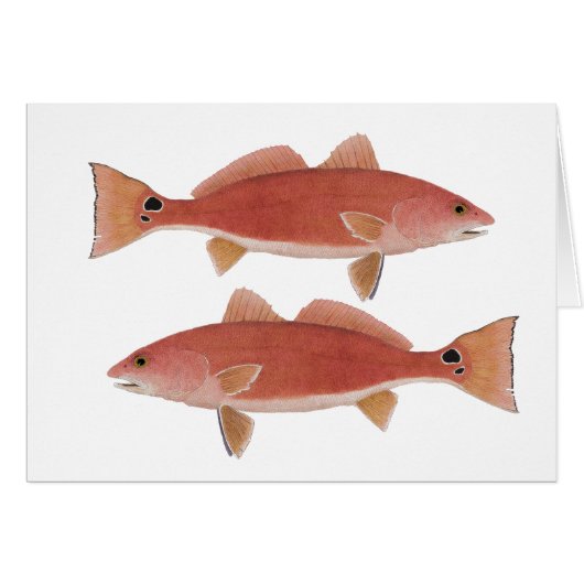 Redfish Cards (Front Horizontal)