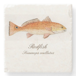 Redfish Coaster