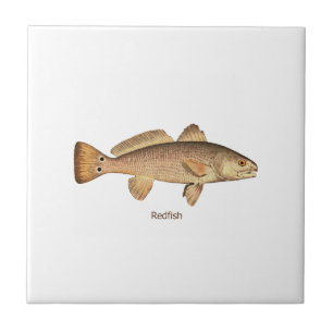 Redfish Logo Tile