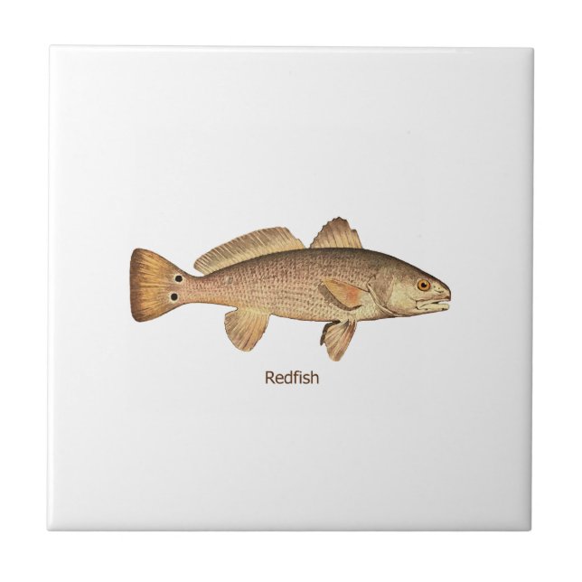 Redfish Logo Tile (Front)