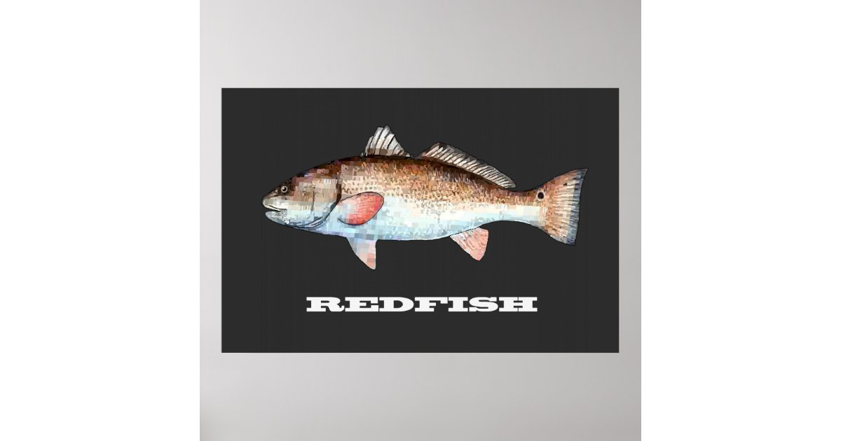 Redfish Poster Zazzle