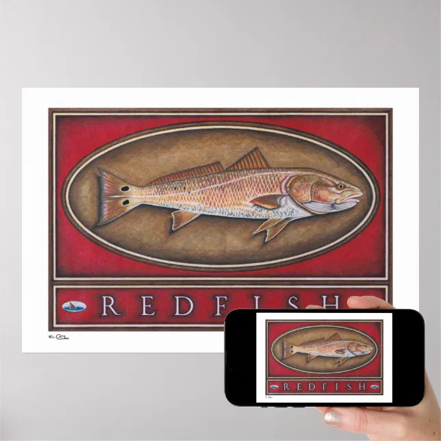 Redfish Posters, Prints and Frames Zazzle