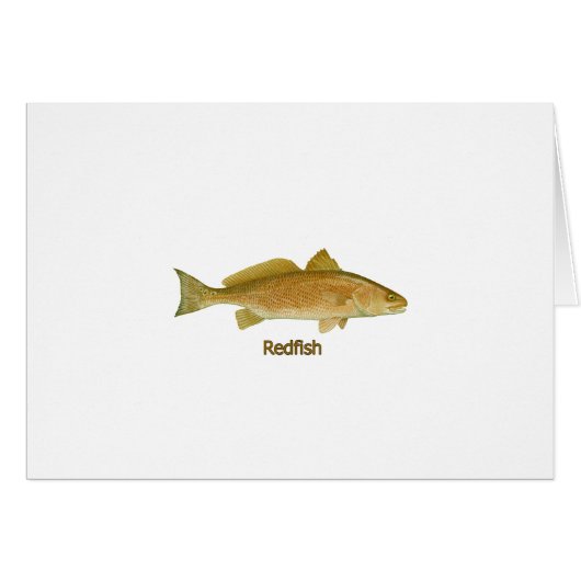 Redfish (titled) cards (Front Horizontal)