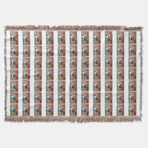 redheaded coney island mermaids throw blanket