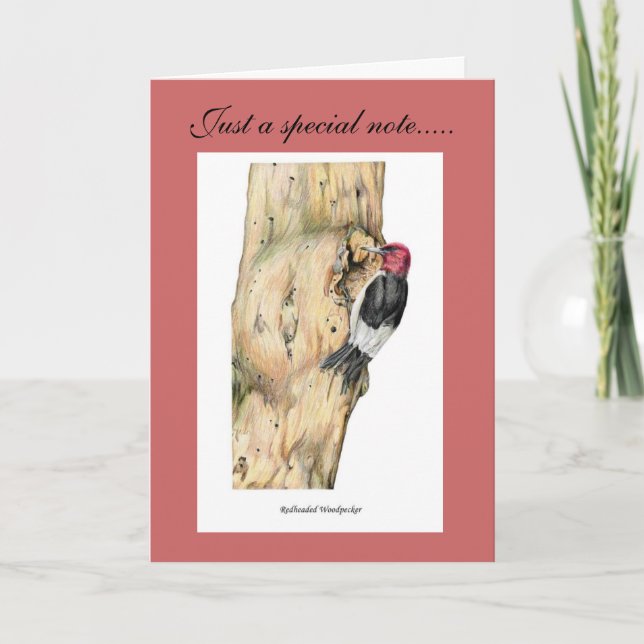 Redheaded Woodpecker Thank You Card (Front)