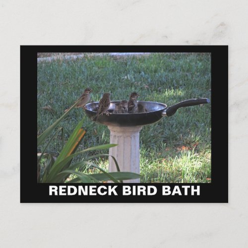 Redneck Bird Bath Postcard