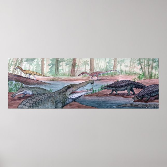 Redonda Formation Print (Front)