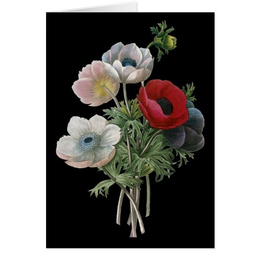 Redoute: Anemone, 1833 Cards (Front)