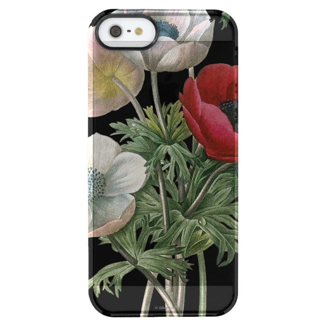 Redoute: Anemone, 1833 Uncommon iPhone Case (Back)
