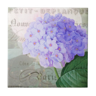 Redoute Hydrangea French Accent Ceramic Tile