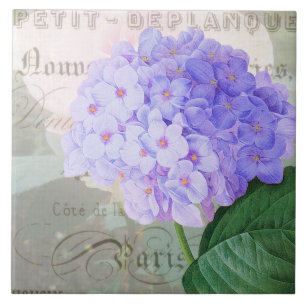 Redoute Hydrangea French Accent Ceramic Tile