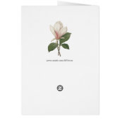 Redoute Magnolia Cards (Back)