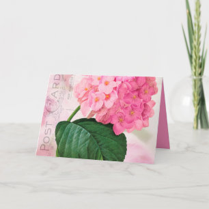 Redoute Pink Hydrangea Birthday Greeting Card