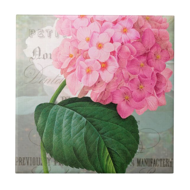Redoute Pink Hydrangea Ceramic Tile (Front)