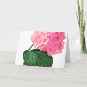 Redoute Pink Hydrangea Greeting Card