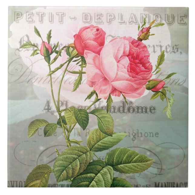 Redoute Pink Roses Ceramic Tile (Front)