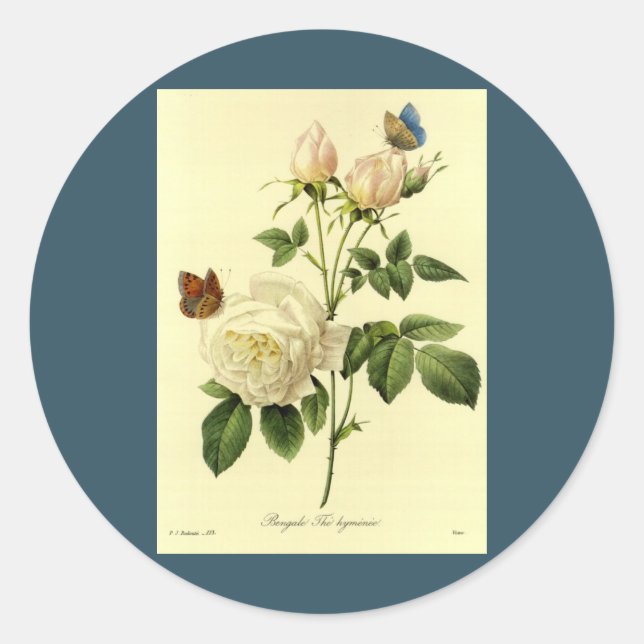 Redoute Print: 'Bengal Rose Hymanee' Classic Round Sticker (Front)