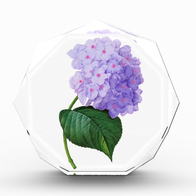 Redoute Purple Hydrangea Acrylic Octagon Awar Award (Front)