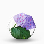 Redoute Purple Hydrangea Award<br><div class="desc">Add some purple to your life!</div>