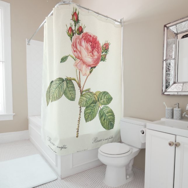 Redoute Rosa Centifolia Shower Curtain (In Situ)