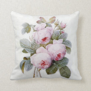 Redoute Rose (4) Throw Pillow 20" x 20"