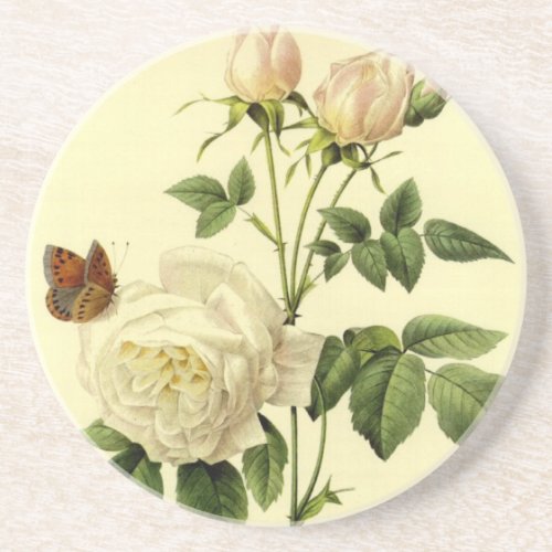 Redoute Vintage Print Bengal Rose the Hymanee Coaster