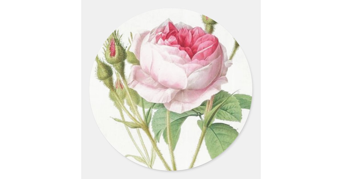 Rose & Black Vintage Flower Monogram Grip Letter G Gift