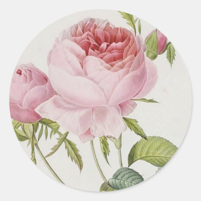 Redoute Vintage Rose Stickers (Front)