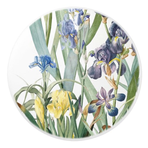 Redoutes Iris Flowers Floral Botanical Ceramic Knob