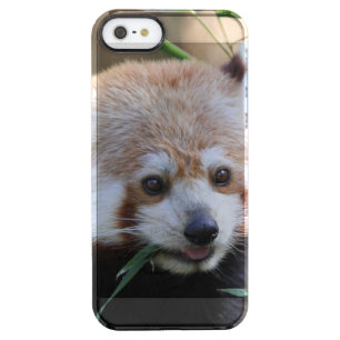 RedPanda20150310 Clear iPhone SE/5/5s Case