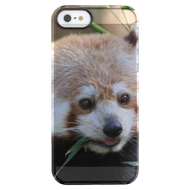 RedPanda20150310 Uncommon iPhone Case (Back)