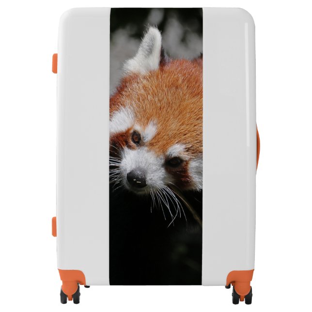 RedPanda20150703 Luggage (Front)