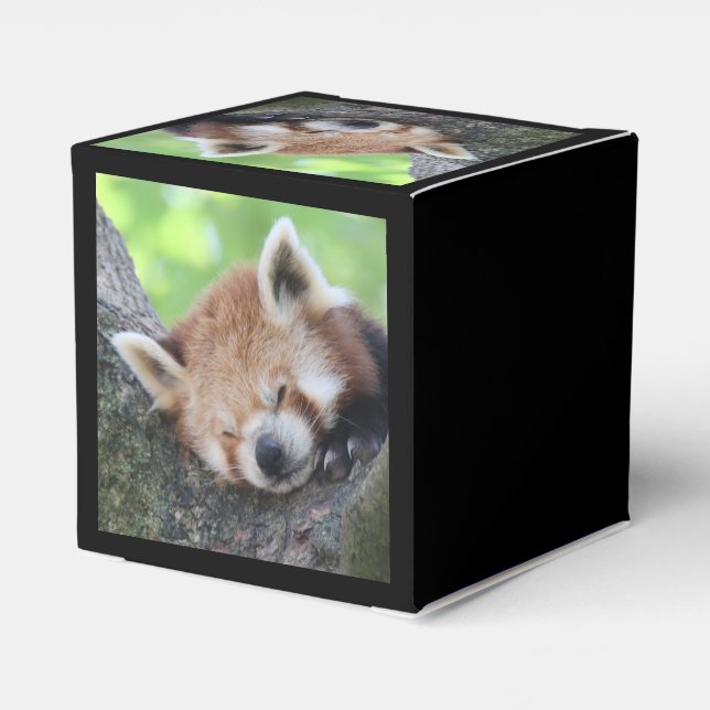 RedPanda20150705.jpg Favor Boxes (Back Side)