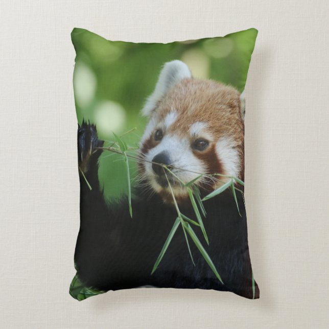 RedPanda 002 Accent Pillow (Front(Vertical))