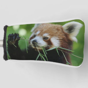 RedPanda 002 Golf Head Cover