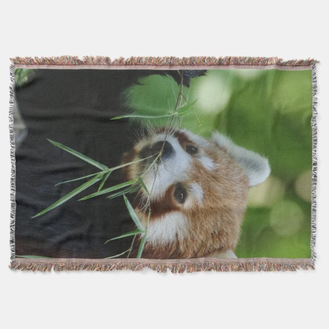 RedPanda 002 Throw Blanket (Front)