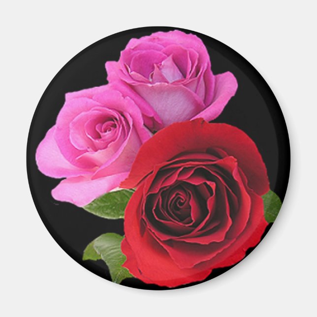 RedPinkTonedRoses2 Magnet (Front)